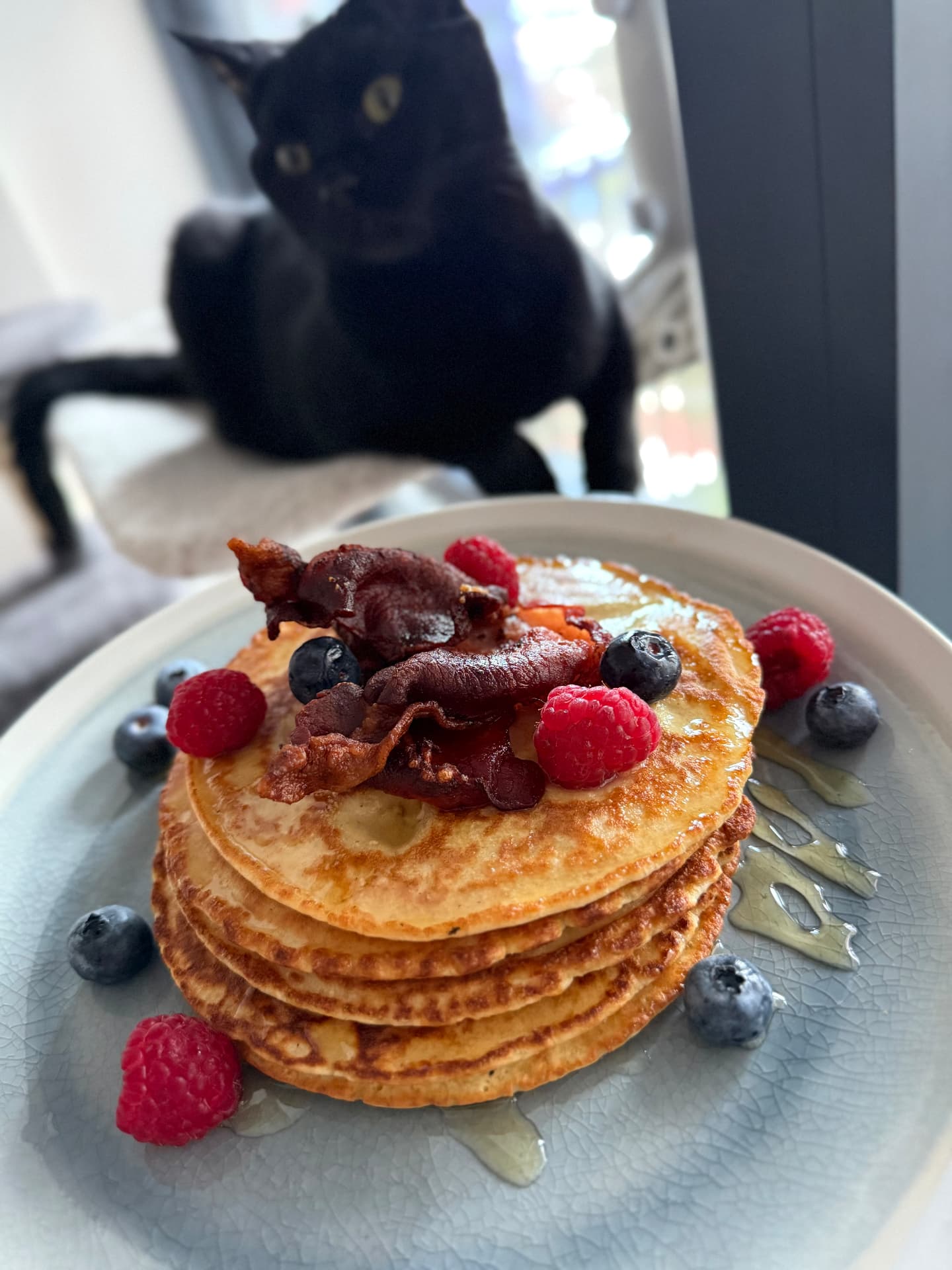Calorie Currency guide cover: stack of pancakes topped with bacon, raspberries and blueberries, with a black cat behind